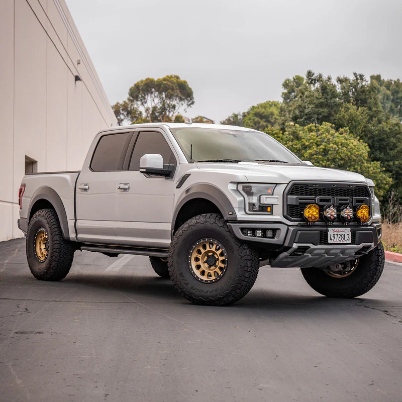 DIRT KING FORD F-150 RAPTOR HEIM UPPER CONTROL ARMS