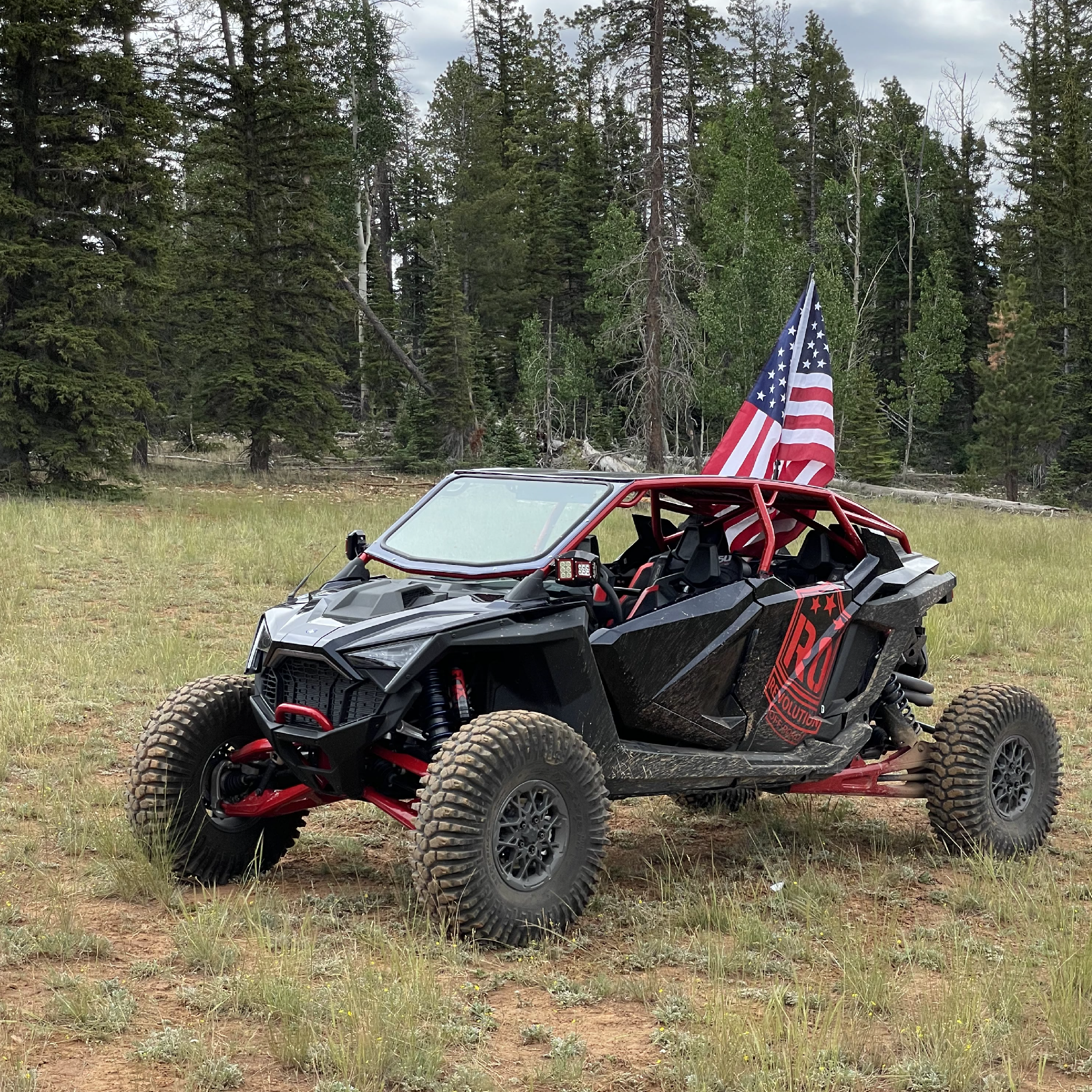 RZR Pro R 4-Seat FastBack Roll Cage